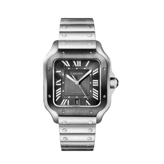 Cartier Watch | Santos de Cartier Steel Black Dial