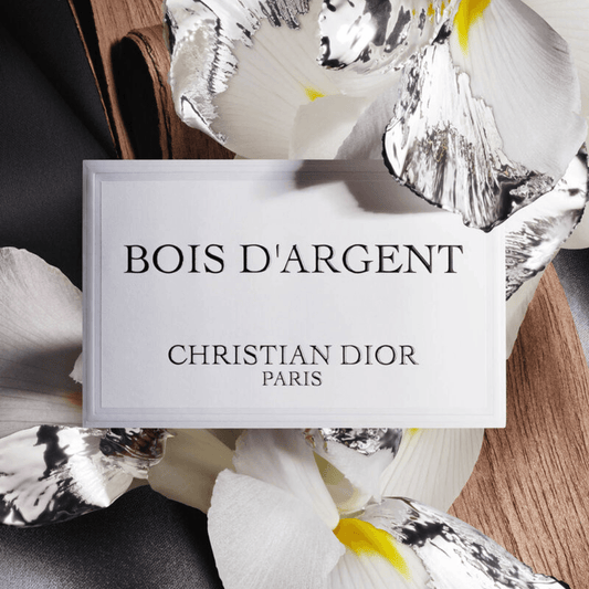 Dior Bag | Bois D'argent Christian Paris