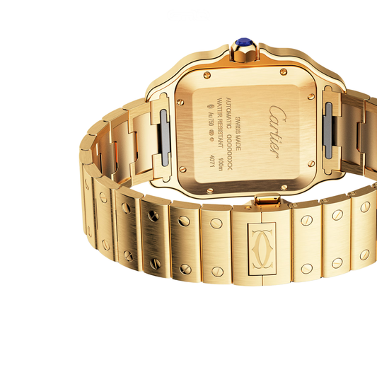 Cartier Watch | Santos de Cartier Golden Steel Blue Dial